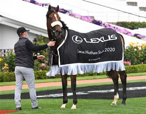 MELBOURNE, AUSTRALIA - OCTOBER 31: Ashrun after winning Race 4, the Lexus Hotham Stakes, during 2020 AAMI Victoria Derby Day at Flemington Racecourse on October 31, 2020 in Melbourne, Australia. (Photo by Vince Caligiuri/Getty Images for the VRC)