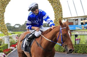 SYDNEY, AUSTRALIA - OCTOBER 31: Jason Collett on Gytrash
returns to scale after winning race 7 the Yes Yes Yes Stakes during Sydney Racing at Rosehill Gardens on October 31, 2020 in Sydney, Australia. (Photo by Mark Evans/Getty Images)