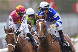 SYDNEY, AUSTRALIA - OCTOBER 31: Jason Collett on Gytrash
wins race 7 the Yes Yes Yes Stakes during Sydney Racing at Rosehill Gardens on October 31, 2020 in Sydney, Australia. (Photo by Mark Evans/Getty Images)