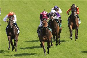 SYDNEY, AUSTRALIA - OCTOBER 31: Jay Ford on Costello (pink) wins race 6 the Kypreos Group Rosehill Gold Cup during Sydney Racing at Rosehill Gardens on October 31, 2020 in Sydney, Australia. (Photo by Mark Evans/Getty Images)