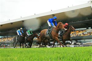 SYDNEY, AUSTRALIA - OCTOBER 31: Tom Sherry on Segalas wins race 3 the Tresemme Handicap during Sydney Racing at Rosehill Gardens on October 31, 2020 in Sydney, Australia. (Photo by Mark Evans/Getty Images)