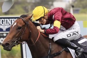 SYDNEY, AUSTRALIA - OCTOBER 31: Louise Day on Switched
wins race 5 the Rendr Delivery Sprint during Sydney Racing at Rosehill Gardens on October 31, 2020 in Sydney, Australia. (Photo by Mark Evans/Getty Images)