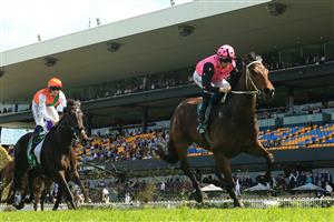 SYDNEY, AUSTRALIA - OCTOBER 31: Jay Ford on Costello wins race 6 the Kypreos Group Rosehill Gold Cup during Sydney Racing at Rosehill Gardens on October 31, 2020 in Sydney, Australia. (Photo by Mark Evans/Getty Images)