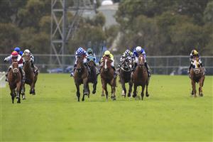 SYDNEY, AUSTRALIA - OCTOBER 31: Jason Collett on Gytrash
wins race 7 the Yes Yes Yes Stakes during Sydney Racing at Rosehill Gardens on October 31, 2020 in Sydney, Australia. (Photo by Mark Evans/Getty Images)