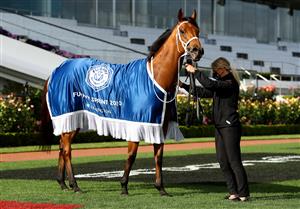 MELBOURNE, AUSTRALIA - OCTOBER 31: #2 Fiesta in the mounting yard after winning race nine the Furphy Sprint during 2020 AAMI Victoria Derby Day at Flemington Racecourse on October 31, 2020 in Melbourne, Australia. (Photo by Robert Cianflone/Getty Images for the VRC)