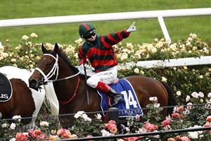 MELBOURNE, AUSTRALIA - OCTOBER 31: Craig Williams on board #14 September Run celebrates as he returns to scale after winning race 6 the Coolmore Stud Stakes during 2020 AAMI Victoria Derby Day at Flemington Racecourse on October 31, 2020 in Melbourne, Australia. (Photo by Daniel Pockett/Getty Images for the VRC)