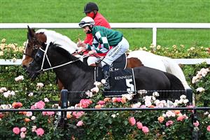 MELBOURNE, AUSTRALIA - OCTOBER 31: Damian Lane riding Yulong Prince returns to scale after winning race 8 the Kennedy Cantala during 2020 AAMI Victoria Derby Day at Flemington Racecourse on October 31, 2020 in Melbourne, Australia. (Photo by Quinn Rooney/Getty Images for the VRC)