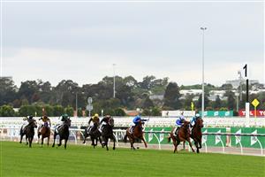 MELBOURNE, AUSTRALIA - OCTOBER 31: Daniel Stackhouse riding #1 Crosshaven and Damian Lane riding #3 Aysar lead the field down the straight in race one the Network 10 Carbine Club Stakes during 2020 AAMI Victoria Derby Day at Flemington Racecourse on October 31, 2020 in Melbourne, Australia. (Photo by Robert Cianflone/Getty Images for the VRC)