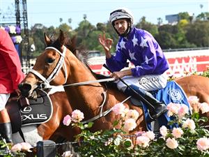 MELBOURNE, AUSTRALIA - OCTOBER 31: Jockey Hugh Bowman riding Fiesta returns to scale after winning Race 9, the Furphy Sprint, during 2020 AAMI Victoria Derby Day at Flemington Racecourse on October 31, 2020 in Melbourne, Australia. (Photo by Vince Caligiuri/Getty Images for the VRC)