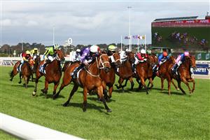 MELBOURNE, AUSTRALIA - OCTOBER 31: Hugh Bowman riding #2 Fiesta wins race nine the Furphy Sprint during 2020 AAMI Victoria Derby Day at Flemington Racecourse on October 31, 2020 in Melbourne, Australia. (Photo by Robert Cianflone/Getty Images for the VRC)