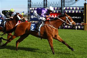 MELBOURNE, AUSTRALIA - OCTOBER 31: Hugh Bowman riding #2 Fiesta wins race nine the Furphy Sprint during 2020 AAMI Victoria Derby Day at Flemington Racecourse on October 31, 2020 in Melbourne, Australia. (Photo by Robert Cianflone/Getty Images for the VRC)