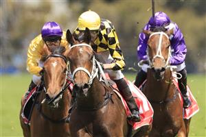 SYDNEY, AUSTRALIA - OCTOBER 31: Nash Rawiller on Archanna wins race 4 the Fujitsu General Handicap during Sydney Racing at Rosehill Gardens on October 31, 2020 in Sydney, Australia. (Photo by Mark Evans/Getty Images)