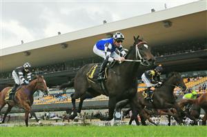 SYDNEY, AUSTRALIA - OCTOBER 31: Nash Rawiller on Enchanted Heart wins race 2 the Schweppes Handicap during Sydney Racing at Rosehill Gardens on October 31, 2020 in Sydney, Australia. (Photo by Mark Evans/Getty Images)