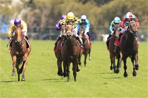 SYDNEY, AUSTRALIA - OCTOBER 31: Nash Rawiller on Archanna wins race 4 the Fujitsu General Handicap during Sydney Racing at Rosehill Gardens on October 31, 2020 in Sydney, Australia. (Photo by Mark Evans/Getty Images)