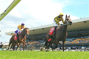 SYDNEY, AUSTRALIA - OCTOBER 31: Nash Rawiller on Archanna wins race 4 the Fujitsu General Handicap during Sydney Racing at Rosehill Gardens on October 31, 2020 in Sydney, Australia. (Photo by Mark Evans/Getty Images)