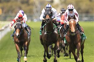 SYDNEY, AUSTRALIA - OCTOBER 31: Tommy Berry on Art Cadeau wins race 1 the TAB Highway Class 3 Handicap during Sydney Racing at Rosehill Gardens on October 31, 2020 in Sydney, Australia. (Photo by Mark Evans/Getty Images)