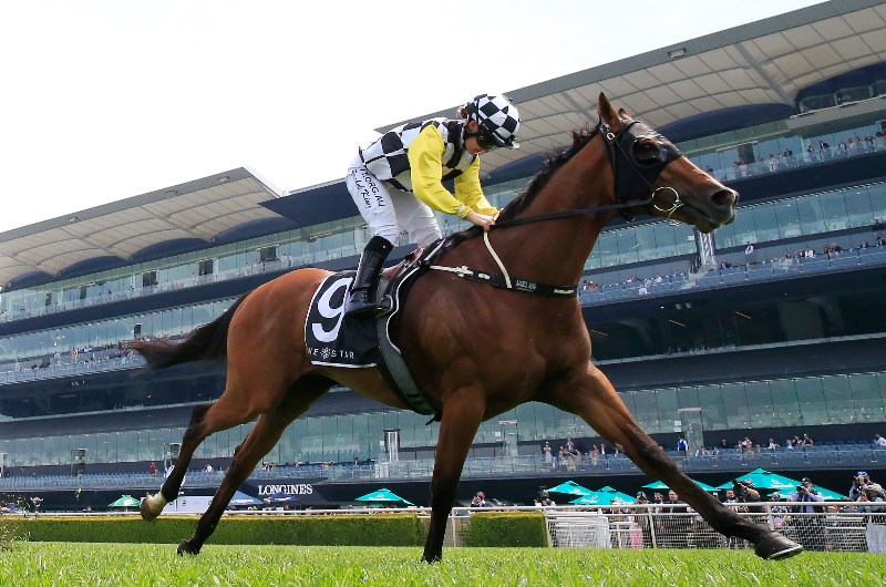 Big Bets for Melbourne Cup Day