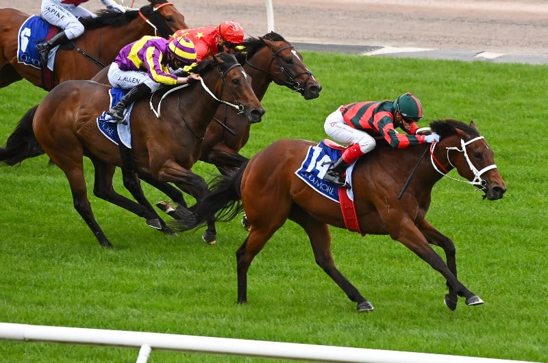 Coolmore Stud Stakes Coolmore Stud Stakes