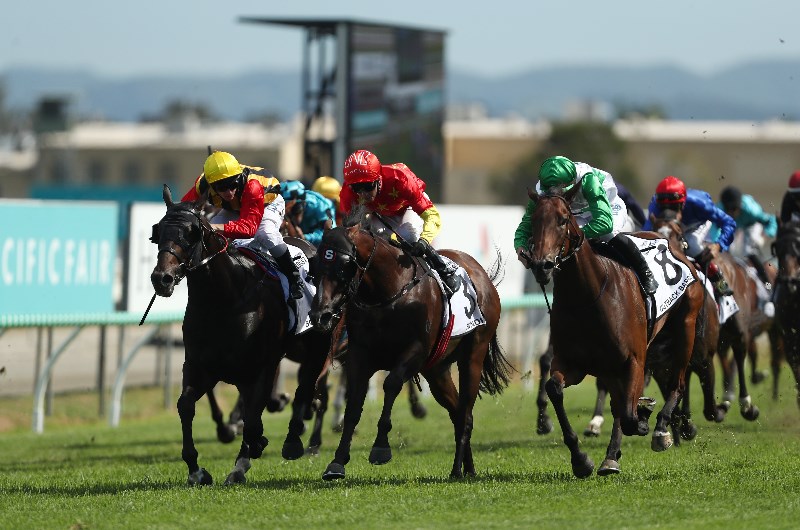 Kilcoy Tips for 04.11.2020