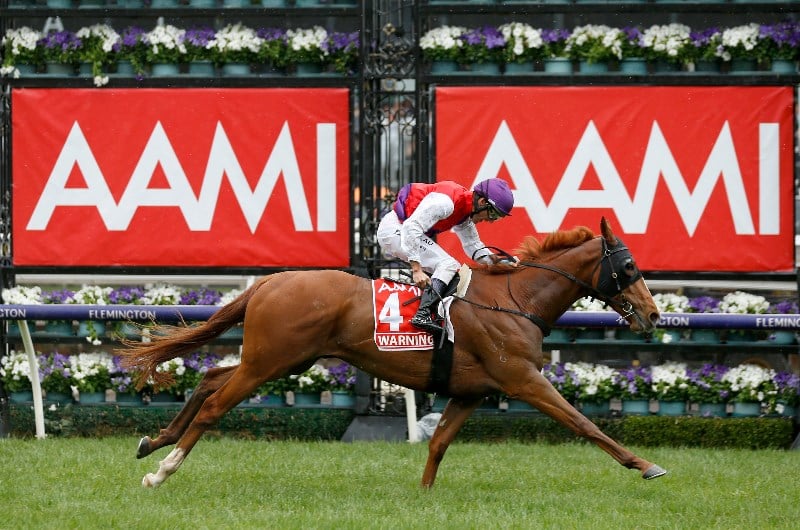 Top 5 & 10 Melbourne Cup Betting Odds