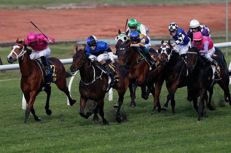 Goulburn Tips for 04.11.2020