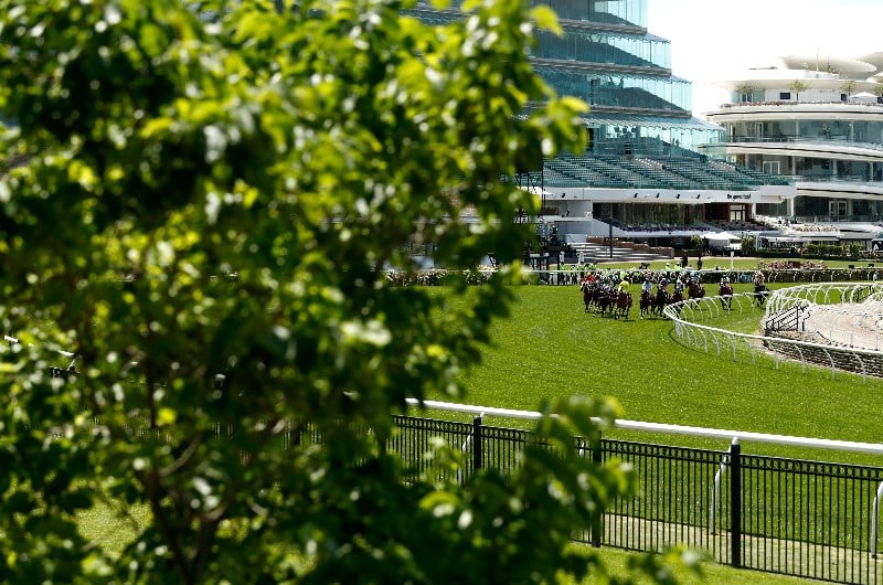 melbourne cup day