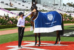 MELBOURNE, AUSTRALIA - NOVEMBER 03: Purple Sector wins the Furphy Plate during 2020 Lexus Melbourne Cup Day at Flemington Racecourse on November 03, 2020 in Melbourne, Australia. (Photo by Quinn Rooney/Getty Images for the VRC)