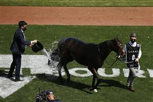 MELBOURNE, AUSTRALIA - NOVEMBER 03: Travelling foreman Mark Power (L) cools down Twilight Payment after wining Race 7, the Lexus Melbourne Cup, during 2020 Lexus Melbourne Cup Day at Flemington Racecourse on November 03, 2020 in Melbourne, Australia. (Photo by Daniel Pockett/Getty Images for the VRC)