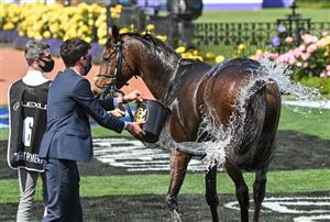 MELBOURNE, AUSTRALIA - NOVEMBER 03: Travelling foreman Mark Power washes down Twilight Payment after winning in Race 7, the Lexus Melbourne Cup during Melbourne Cup Day at Flemington Racecourse on November 03, 2020 in Melbourne, Australia. (Photo by Vince Caligiuri/Getty Images for the VRC)