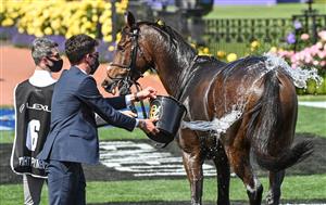MELBOURNE, AUSTRALIA - NOVEMBER 03: Travelling foreman Mark Power washes down Twilight Payment after winning in Race 7, the Lexus Melbourne Cup during Melbourne Cup Day at Flemington Racecourse on November 03, 2020 in Melbourne, Australia. (Photo by Vince Caligiuri/Getty Images for the VRC)