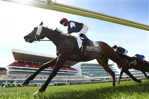 MELBOURNE, AUSTRALIA - NOVEMBER 03: Jye McNeil riding #6 Twilight Payment leads at the start to win race 7, the Lexus Melbourne Cup during 2020 Lexus Melbourne Cup Day at Flemington Racecourse on November 03, 2020 in Melbourne, Australia. (Photo by Robert Cianflone/Getty Images for the VRC)