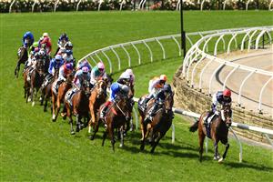 MELBOURNE, AUSTRALIA - NOVEMBER 03: Jye McNeil riding Twilight Payment leads the field around the first bend in the Lexus Melbourne Cup during 2020 Lexus Melbourne Cup Day at Flemington Racecourse on November 03, 2020 in Melbourne, Australia. (Photo by Quinn Rooney/Getty Images for the VRC)