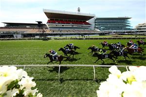 MELBOURNE, AUSTRALIA - NOVEMBER 03: Jye McNeil riding #6 Twilight Payment wins race 7, the Lexus Melbourne Cup during 2020 Lexus Melbourne Cup Day at Flemington Racecourse on November 03, 2020 in Melbourne, Australia. (Photo by Robert Cianflone/Getty Images for the VRC)