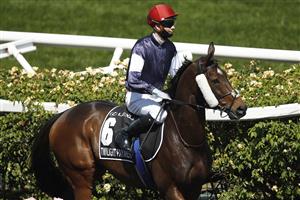 MELBOURNE, AUSTRALIA - NOVEMBER 03: Jockey Jye McNeil riding Twilight Payment ahead of Race 7, the Lexus Melbourne Cup, during 2020 Lexus Melbourne Cup Day at Flemington Racecourse on November 03, 2020 in Melbourne, Australia. (Photo by Daniel Pockett/Getty Images for the VRC)