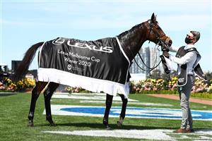 MELBOURNE, AUSTRALIA - NOVEMBER 03: 2020 Lexus Melbourne Cup winning horse #6 Twilight Payment, ridden by Jye McNeil is seen during 2020 Lexus Melbourne Cup Day at Flemington Racecourse on November 03, 2020 in Melbourne, Australia. (Photo by Robert Cianflone/Getty Images for the VRC)