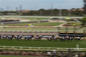 MELBOURNE, AUSTRALIA - NOVEMBER 03: The field make their way down the straight during Race 7, the Lexus Melbourne Cup, during 2020 Lexus Melbourne Cup Day at Flemington Racecourse on November 03, 2020 in Melbourne, Australia. (Photo by Daniel Pockett/Getty Images for the VRC)
