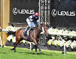 MELBOURNE, AUSTRALIA - NOVEMBER 03: Jockey Jye McNeil riding Twilight Payment to win Race 7, the Lexus Melbourne Cup, during 2020 Lexus Melbourne Cup Day at Flemington Racecourse on November 03, 2020 in Melbourne, Australia. (Photo by Vince Caligiuri/Getty Images for the VRC)