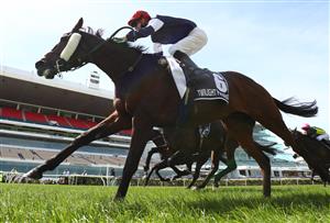 MELBOURNE, AUSTRALIA - NOVEMBER 03: Jye McNeil riding #6 Twilight Payment wins race 7, the Lexus Melbourne Cup during 2020 Lexus Melbourne Cup Day at Flemington Racecourse on November 03, 2020 in Melbourne, Australia. (Photo by Robert Cianflone/Getty Images for the VRC)