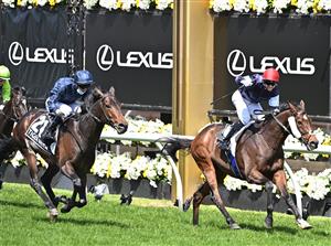 MELBOURNE, AUSTRALIA - NOVEMBER 03: Jockey Jye McNeil riding Twilight Payment defeats Jockey Kerrin McEvoy riding Tiger Moth to win Race 7, the Lexus Melbourne Cup, during 2020 Lexus Melbourne Cup Day at Flemington Racecourse on November 03, 2020 in Melbourne, Australia. (Photo by Vince Caligiuri/Getty Images for the VRC)