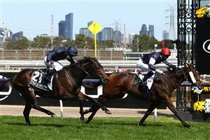 MELBOURNE, AUSTRALIA - NOVEMBER 03: Jye McNeil riding #6 Twilight Payment wins race 7, the Lexus Melbourne Cup ahead of Kerrin Mcevoy riding #21 Tiger Moth during 2020 Lexus Melbourne Cup Day at Flemington Racecourse on November 03, 2020 in Melbourne, Australia. (Photo by Robert Cianflone/Getty Images for the VRC)