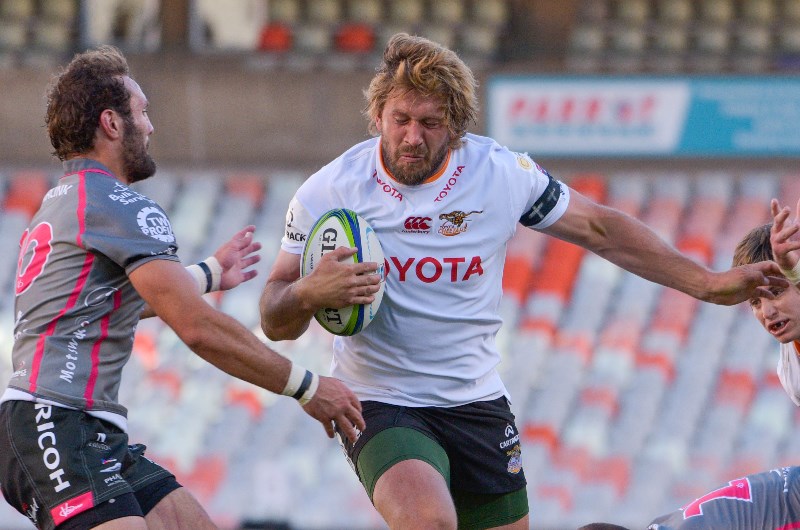 Cheetahs rugby