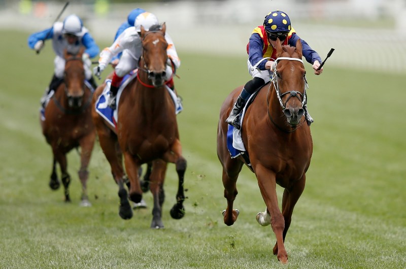 Darley Sprint Classic Field