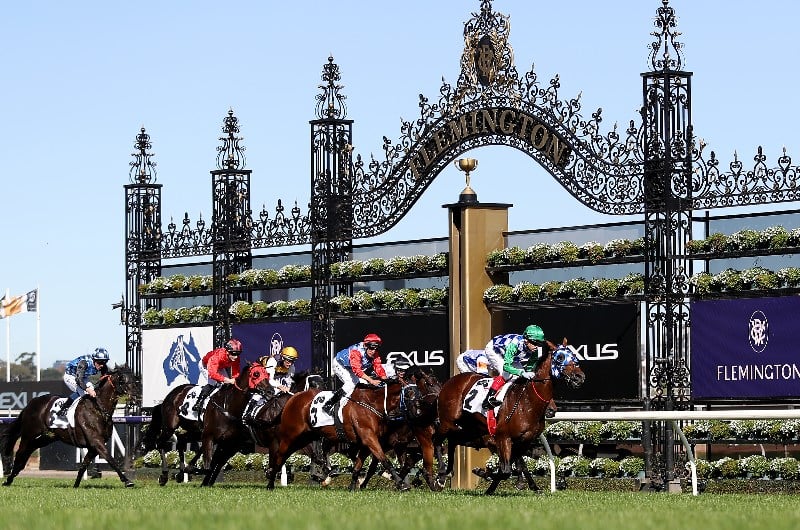 Mackinnon Stakes Barrier Draw