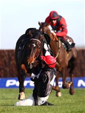 NEWBURY, ENGLAND - NOVEMBER 05: Chester Williams falls riding One For The Team during the Pertemps Network Beginners' Chase at Newbury Racecourse on November 05, 2020 in Newbury, England. (Photo by Michael Steele/Getty Images)