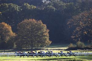 NEWBURY, ENGLAND - NOVEMBER 05: Jonathon Burke on Kateson leads riders down the back straight during the Pertemps Network Handicap Hurdle at Newbury Racecourse on November 05, 2020 in Newbury, England. (Photo by Michael Steele/Getty Images)