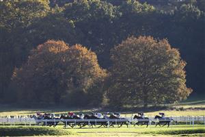 NEWBURY, ENGLAND - NOVEMBER 05: Jonathon Burke on Kateson leads riders down the back straight during the Pertemps Network Handicap Hurdle at Newbury Racecourse on November 05, 2020 in Newbury, England. (Photo by Michael Steele/Getty Images)