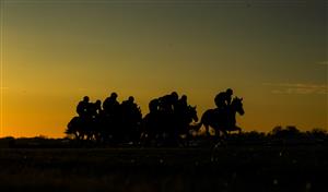 WARWICK, ENGLAND - NOVEMBER 06: A general view as runners and riders compete in the British EBF Mares' Standard Open NH Flat Race at Warwick Racecourse on November 6, 2020 in Warwick, England. (Photo by David Davies - Pool / Getty Images)