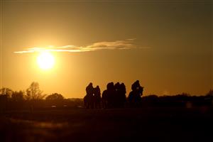 WARWICK, ENGLAND - NOVEMBER 06: A general view as runners and riders compete in the British EBF Mares' Standard Open NH Flat Race at Warwick Racecourse on November 6, 2020 in Warwick, England. (Photo by David Davies - Pool / Getty Images)