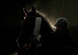 WARWICK, ENGLAND - NOVEMBER 06: A horse is sprayed down at Warwick Racecourse on November 6, 2020 in Warwick, England. (Photo by David Davies - Pool / Getty Images)