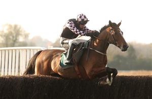 WARWICK, ENGLAND - NOVEMBER 06: Defuture Is Bright ridden by Jack Tudor jumps a fence before winning the Join Racing TV Now Conditional Jockeys' Handicap Chase at Warwick Racecourse on November 6, 2020 in Warwick, England. (Photo by David Davies - Pool / Getty Images)